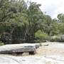 Murray Falls (Girramay National Park)