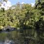 Venus Pools, Stream & Forest