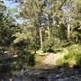 Venus Pools, Stream & Forest