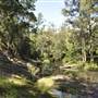 Venus Pools, Stream & Forest