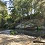 Venus Pools, Stream & Forest