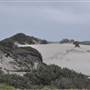 Mulgumpin (Moreton Island) - East Coast Beach