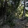 The Backlot, Bonogin - Dry River Bed