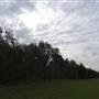 Bushland / Nature Reserve