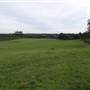 Bushland / Nature Reserve