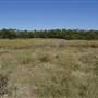 Fort Lytton National Park - General