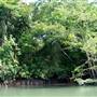 Mulgrave River (Cairns Region)