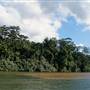 Mulgrave River (Cairns Region)