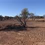 Longreach - Mount Slowcombe