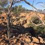 Longreach - Mount Slowcombe