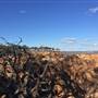 Longreach - Mount Slowcombe