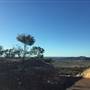 Mount SlowcombeRoad