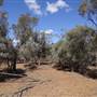 Isisford-Emmet Rd