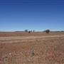 Isisford-Emmet Rd