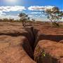 Age Of Dinosaurs (Rangelands)