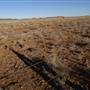 Winton - Kennedy Development Rd