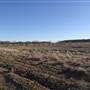 Winton - Kennedy Development Rd