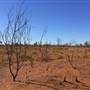 Winton-Jundah Road