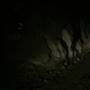 Underground Tunnels - Gold Mine