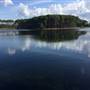 Pine Forest, Riverside Skate Park & Open Sports Fields - Pizzey Park