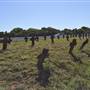 St Helena Island National Park - Prison Cemetery
