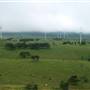 Windy Hill Wind Farm