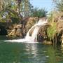 Lawn Hill Gorge (Camooweal Region)