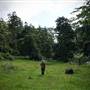 Hinterland Jungle Backlot