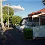 Tree-Lined Street