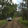 Dirt Road / Wilderness / Pastures
