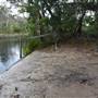 Harrys Hut Area (Noosa Everglades)