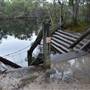 Harrys Hut Area (Noosa Everglades)
