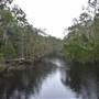 The Narrows (Noosa Everglades)