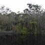 The Narrows (Noosa Everglades)