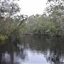 The Narrows (Noosa Everglades)