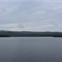 Fig Tree Point (Noosa Everglades)