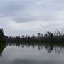 Johns Landing (Noosa Everglades)