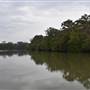 Johns Landing (Noosa Everglades)