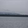 Lake Cooroibah (Noosa Everglades)