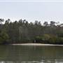 Noosa Everglades - Makepeace Island