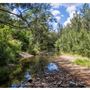 Bunya River Crossing (Albany Creek)