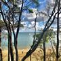 Coochiemudlo Island