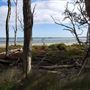 Macleay Island