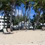 Palm Cove - Beach / Coastline
