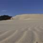 Mulgumpin (Moreton Island) - Big Sand Hills