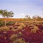 Lawn Hill Gorge (Camooweal Region)