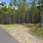 Marshs Road - Mt Tibrogargan (b/g)