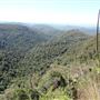 Goomoolahra Falls - Springbrook NP