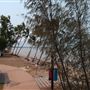 Cardwell - Coastline & Jetty