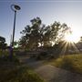 Maculata Family Park